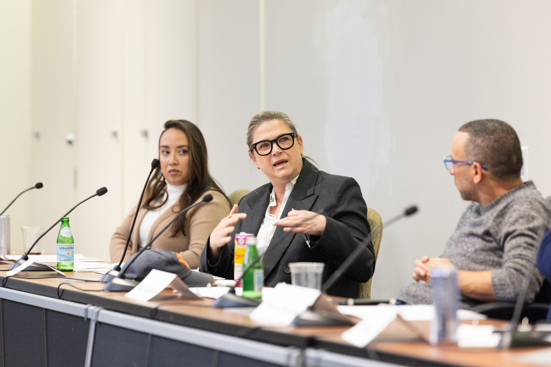 Ellen Kackmann making a point during the panel discussion